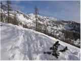 Planina Zajavornik - Mrežce